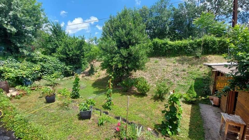 Villa Mimosa Le Bousquet-d'Orb Eksteriør billede